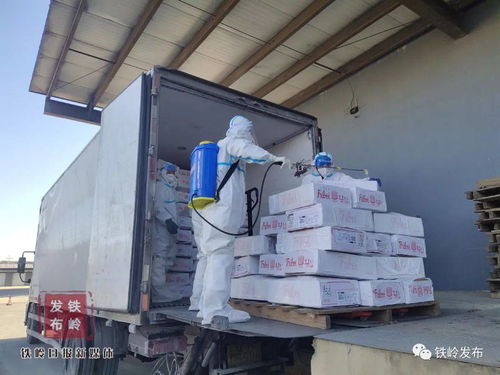 直击 进口冷链食品从入铁到安全进入加工生产及流通领域需要经过这几步