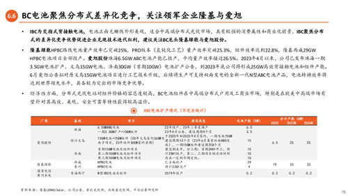 光伏产业链全景图 N型技术驱动变革,一体化扩产与竞争加剧