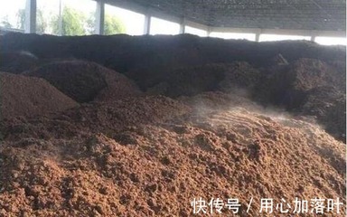 你们难道不好奇吗5斤粮食产出1斤茅台酒,剩余的酒糟哪去了!