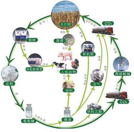 完善生物质发电项目建设运行的实施方案出台背景起草过程总体.