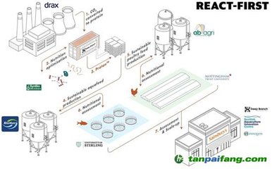 英国政府支持开创性二氧化碳转饲料项目(REACT-FIRST)