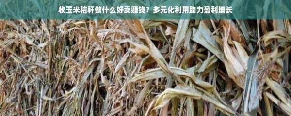 收玉米秸秆做什么好卖赚钱?多元化利用助力盈利增长